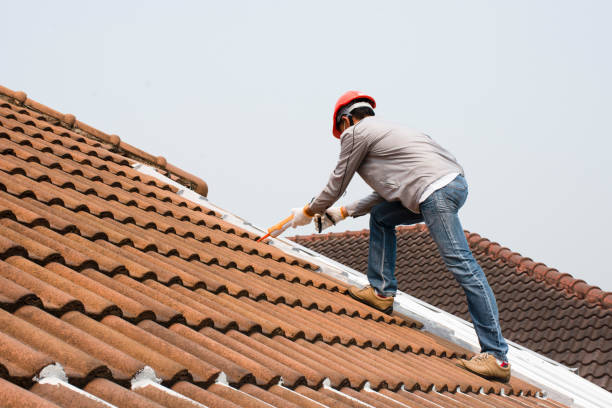 Best Chimney Flashing Repair  in Lisle, IL