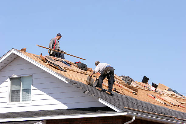 Best Green or Eco-Friendly Roofing Solutions  in Lisle, IL